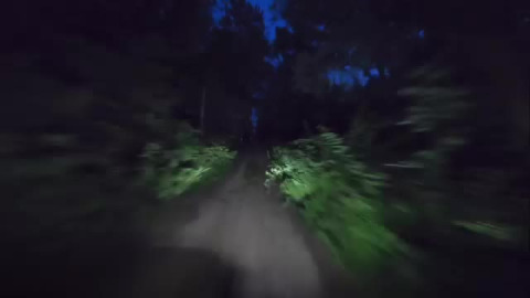Night patrol