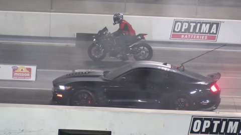 Ford Mustang Gt500 Vs Kawasaki H2R