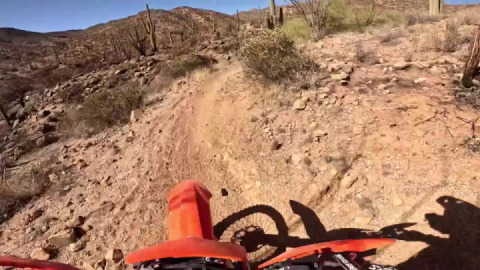 Some awesome single track at Mesquite Wash today