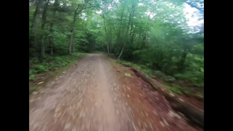 … because it’s cooler in the woods.