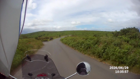 Caution required on Dartmoor, between Hound Tor and Widdecombe-in-the-moor, ....