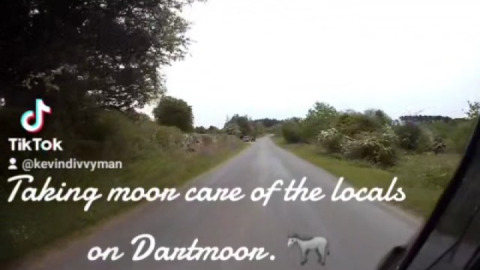 Taking moor care on Dartmoor