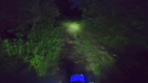 Deer are there