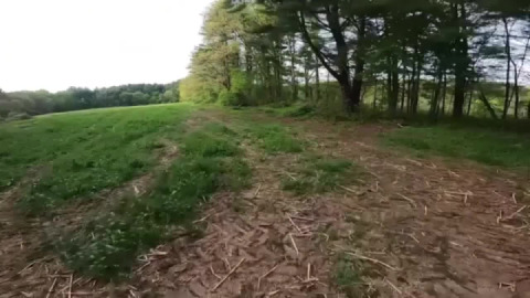 Green acres