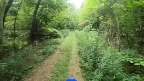Random unexpected sketchy uphill trail discovered. Let it roll.