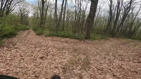 Wake and brake 