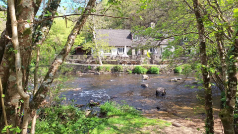 A lovely Bimble to Fingle Bridge. A lovely pub nestled deep between ...