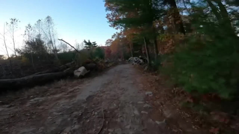 Take it to the bridge