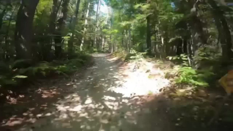 Wicked Pisgah