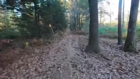 Southern central Massachusetts trails on a dry day