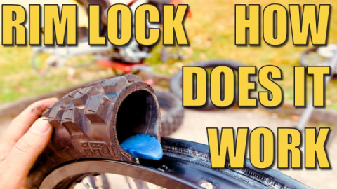 Ever wondered how a rim lock works and how to pick the right one for your bike?