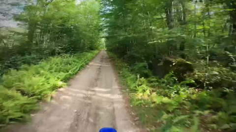 Timber Bridge crossing