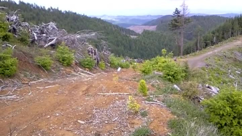 A short putt up a jeep trail with some water bar crossings in the coast range in Oregon