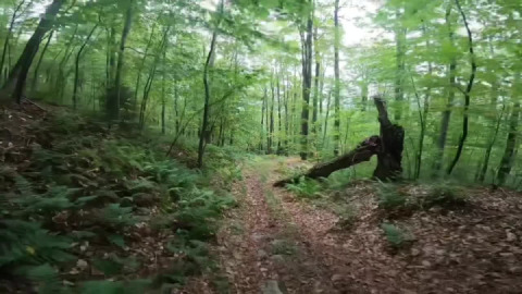 What goes up, must come down