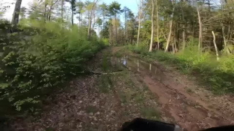 Terraining wheels