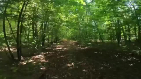 Wandering in Vermont