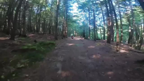 Going down to the stream