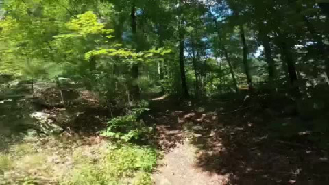 Off track and back