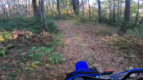 Autumn explorations continued