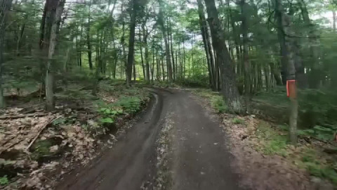Got wood?