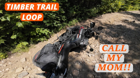 The Transalp can do a lot more than it let's on to believe. All drops were user errors.