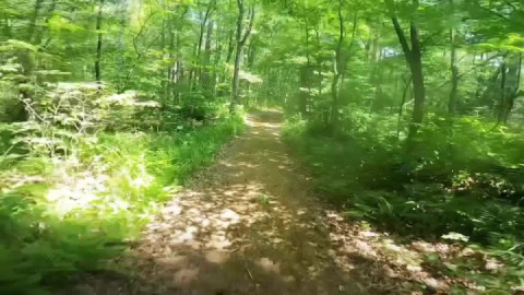 Trail trimming