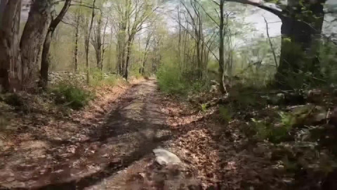 A recently discovered “very” rough road. ‍♂️