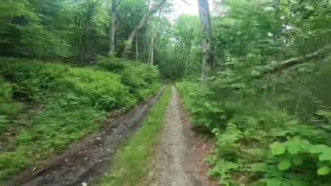 On a Guilf trip in Guilford, Vermont