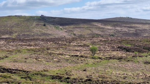 A dartmoor motorcycle adventure. Who needs to go abroad when this is on your doorstep. 