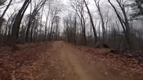 Hawkes to powerlines and back