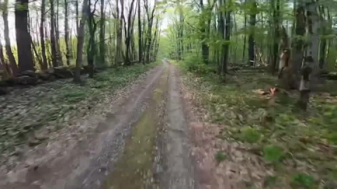 A little bit of dirt, a little bit of water