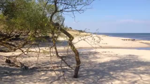 Sweden's south east coast on the Baltic Sea 